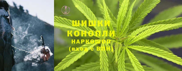 бошки Алексин
